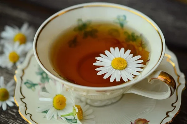 ユリの開花時期はいつ？種類別に咲く季節を解説