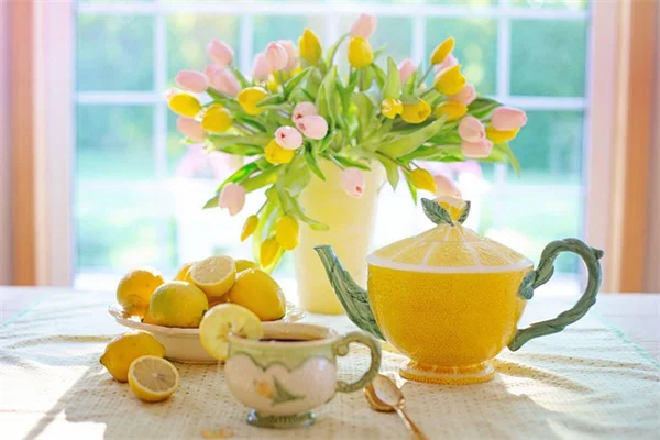 蜘蛛蜂の実は怖くない？益虫か害虫か判断する3つのチェックポイント