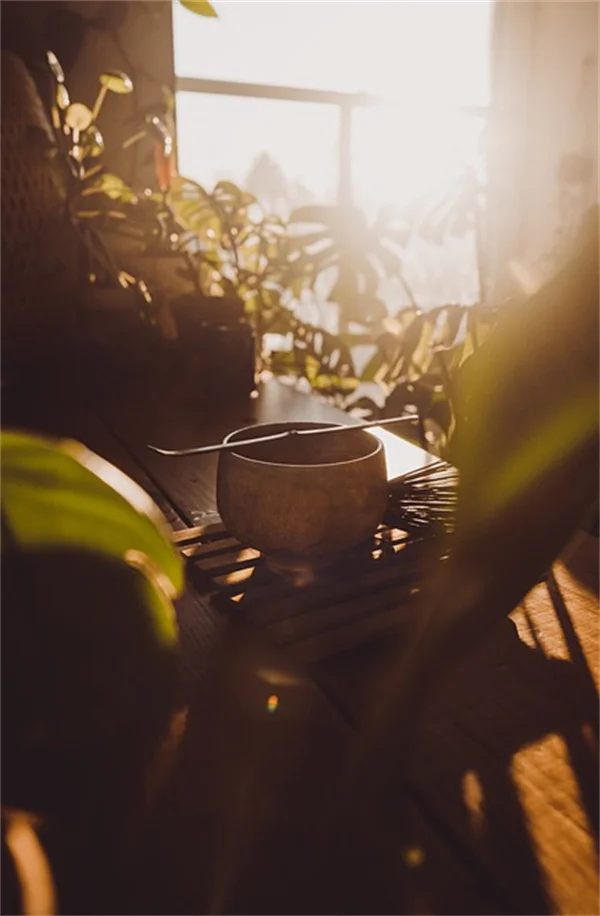 植物の開花メカニズムをわかりやすく解説