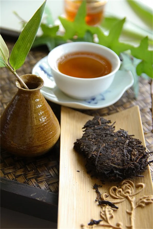 コーヒーかすでナメクジを撃退！庭で使える3つのコツ