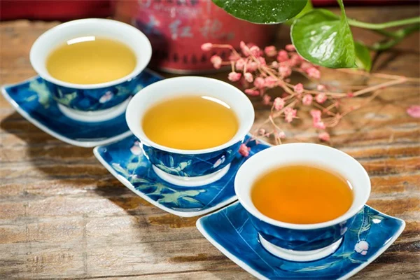 吊り下げ式蜘蛛植物の育て方！初心者でも失敗しない5つのコツ